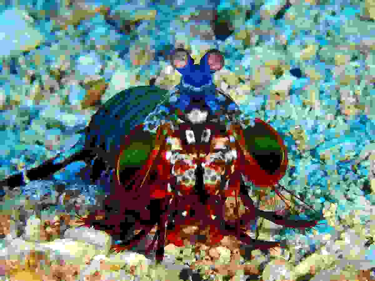 Section image
