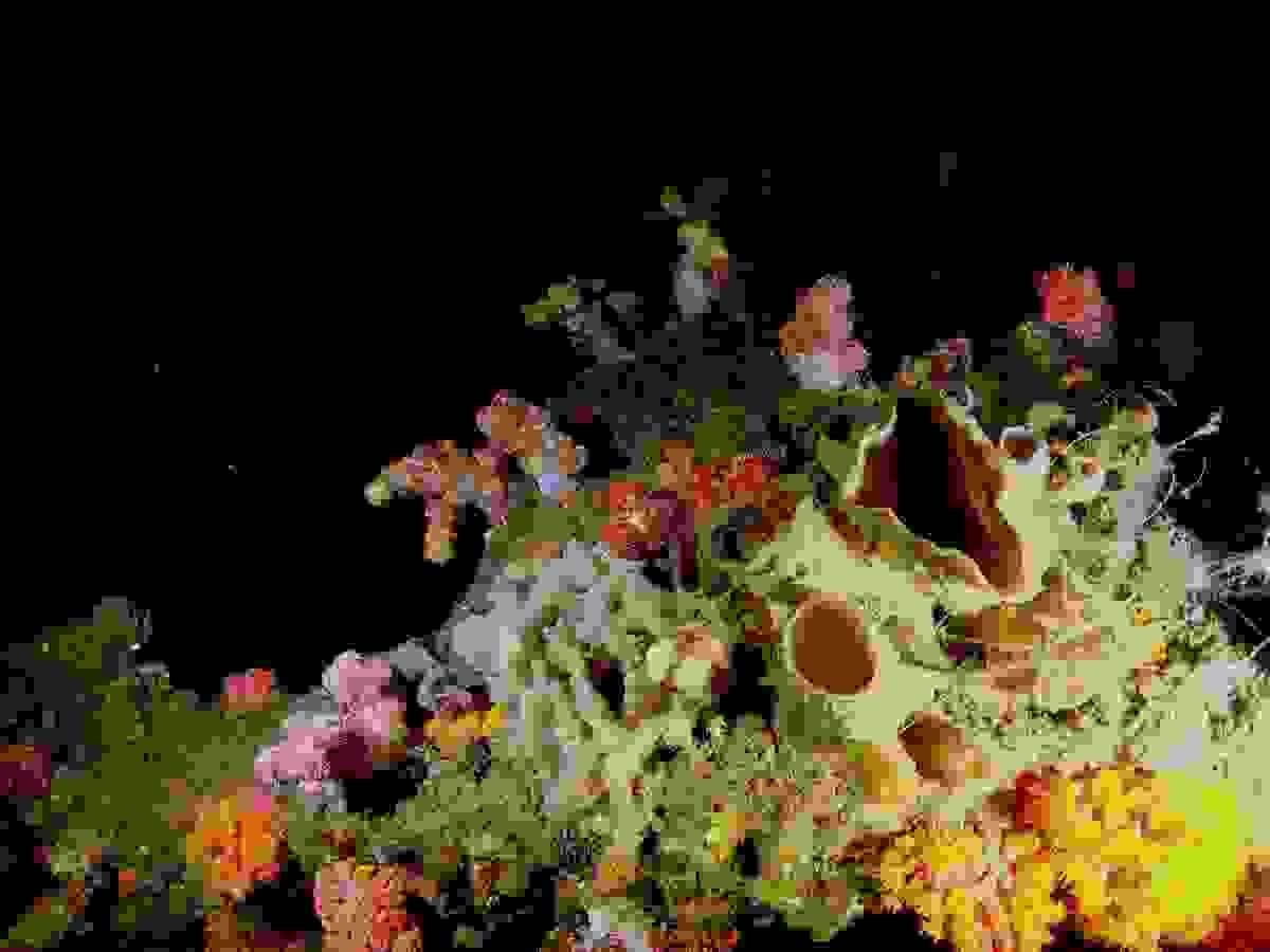 Section image