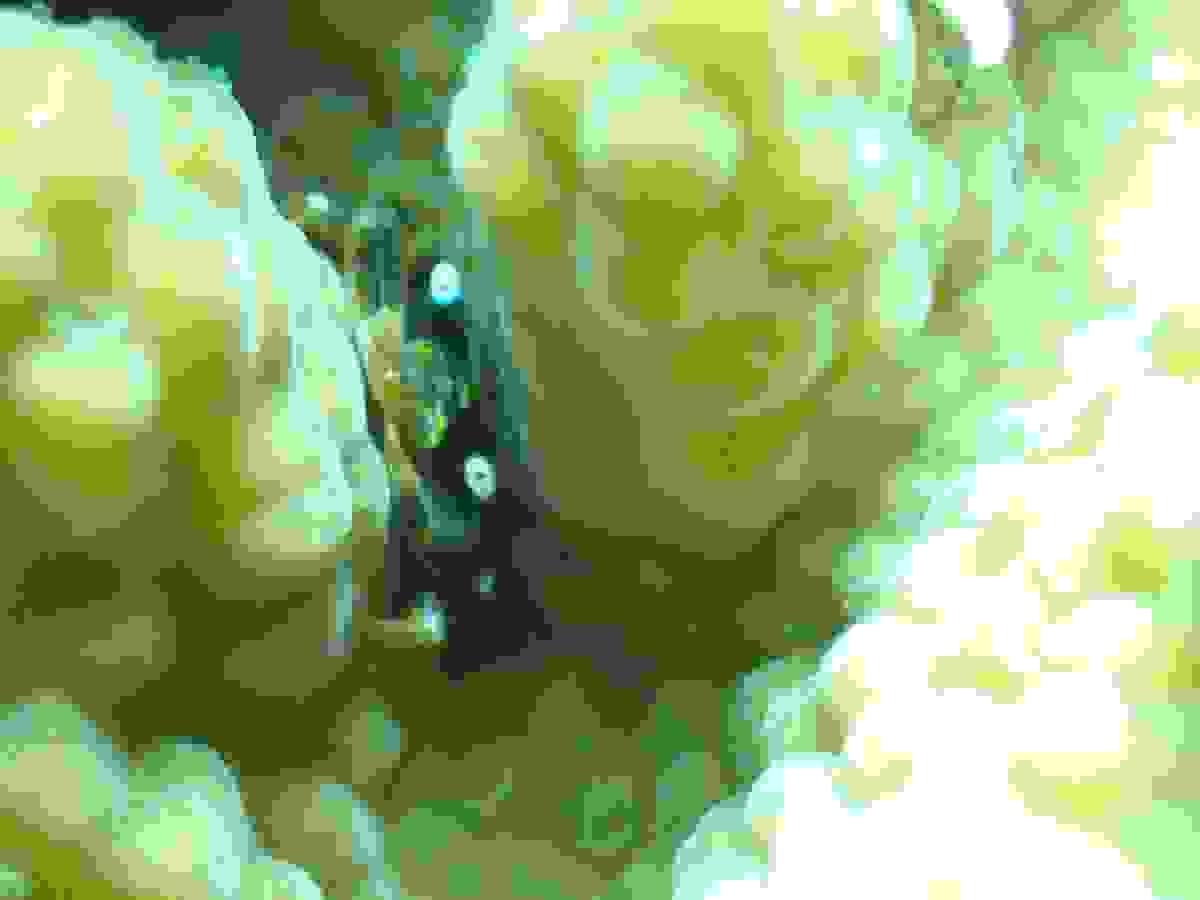 Section image