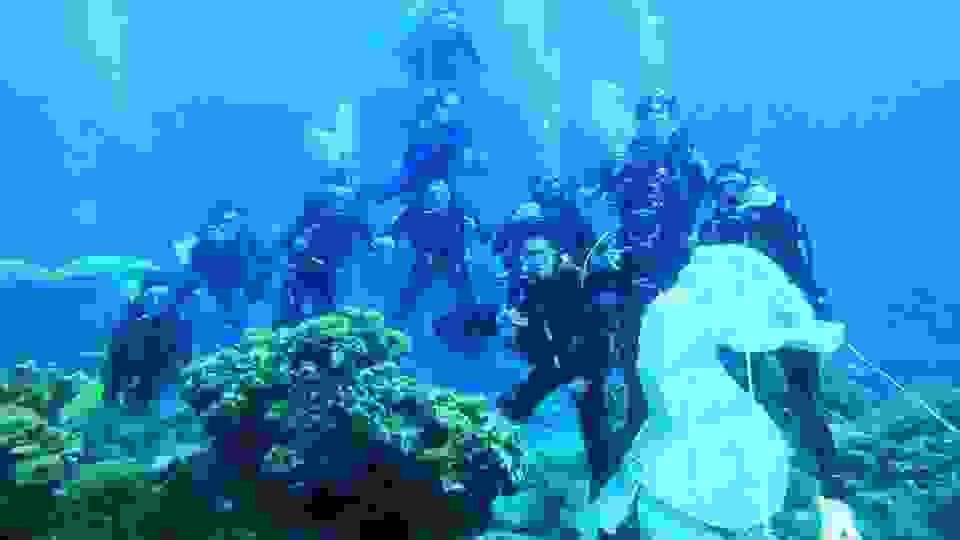 Section image