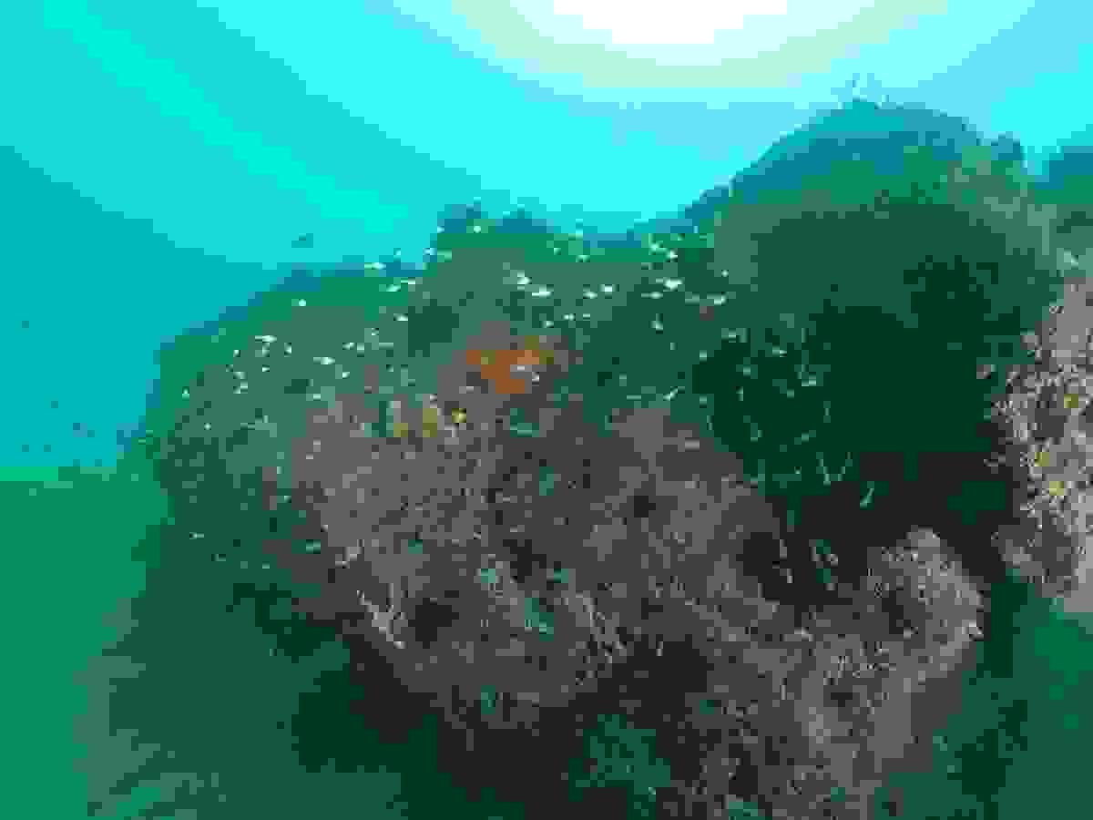 Section image