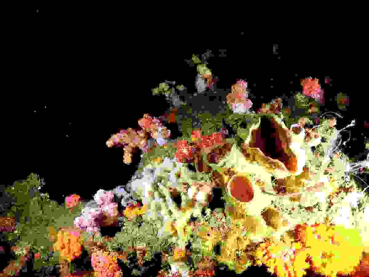 Section image