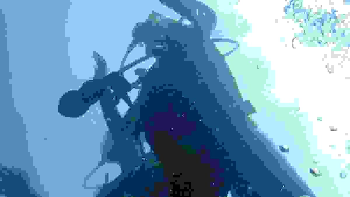 Section image