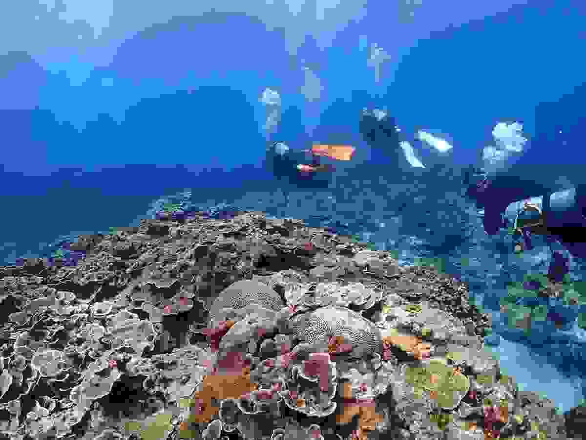 Section image