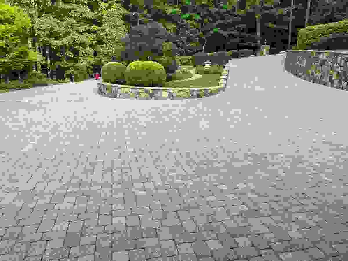 broken image