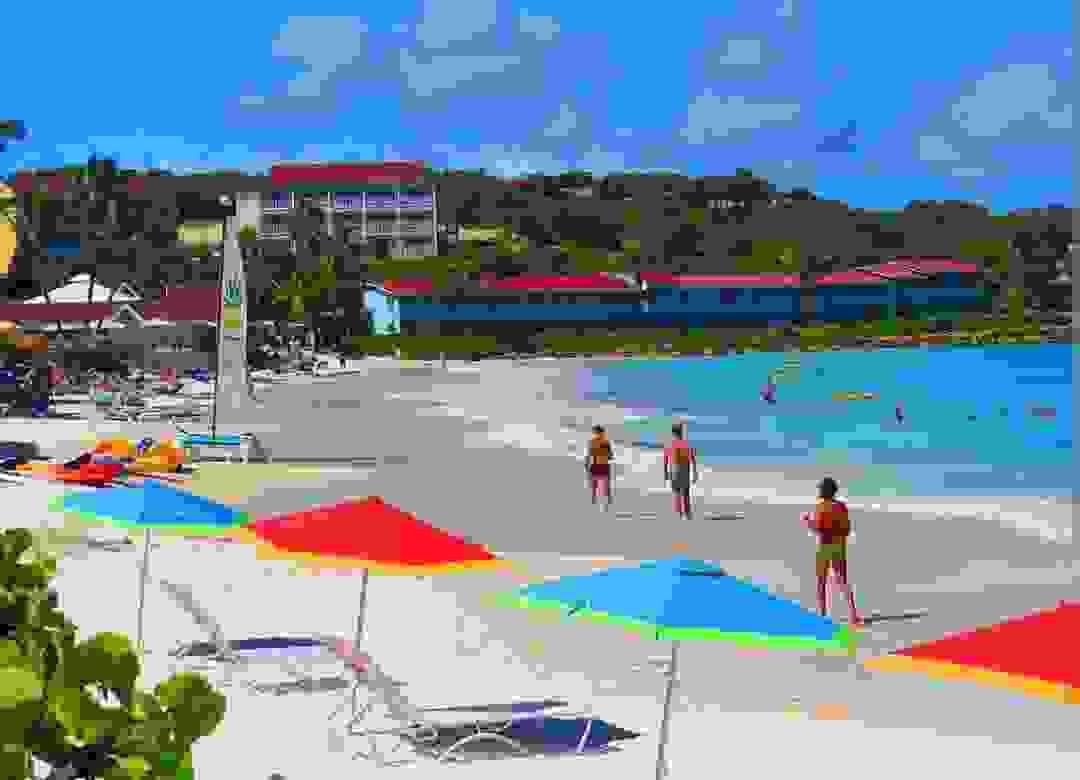 Section image