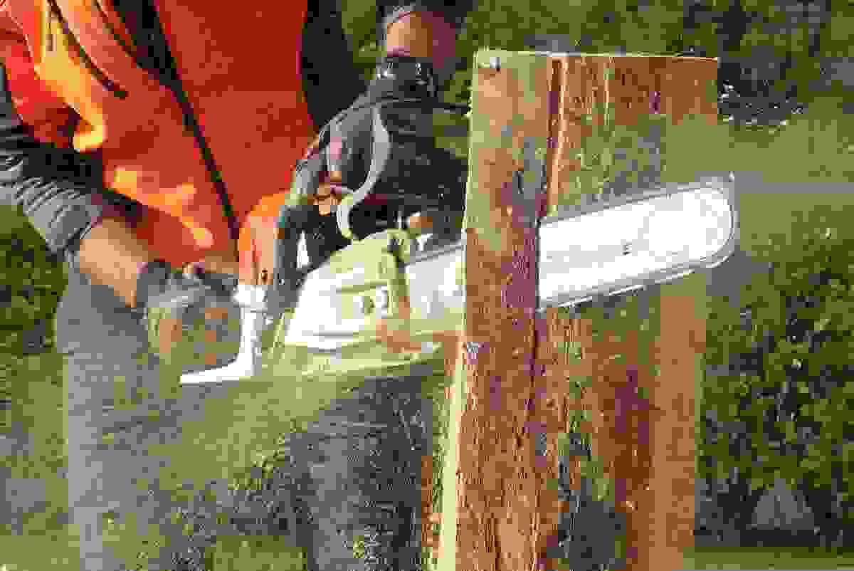 broken image
