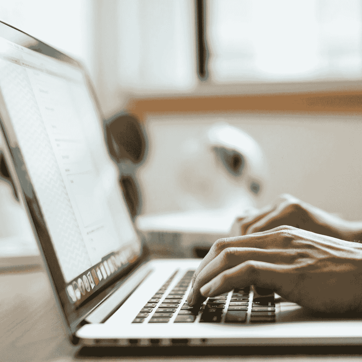 Our knowledgeable team is here to assist you with travel tips and support throughout your journey. Expert Local Support What We Offer Business is a car rental company that offers 4x4 vehicles in Namibia Our knowledgeable team is here to assist you with travel tips and support throughout your journey. Expert Local Support What We Offer Business is a car rental company that offers 4x4 vehicles in Namibia