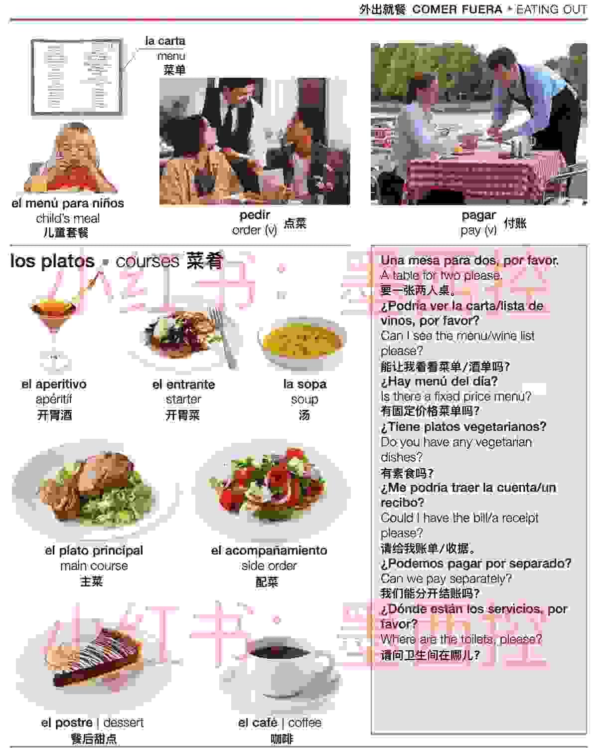 菜肴