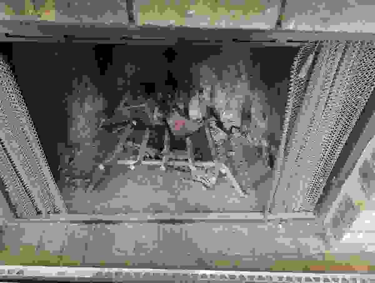 Section image