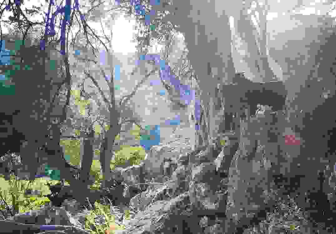 Section image