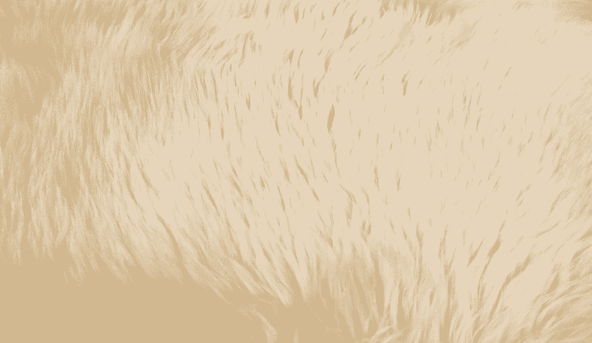 broken image