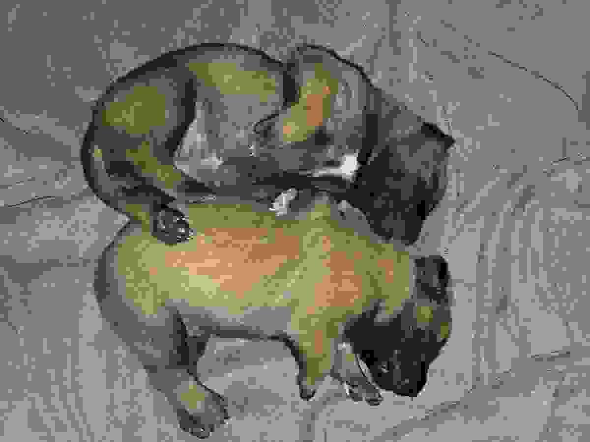 Section image