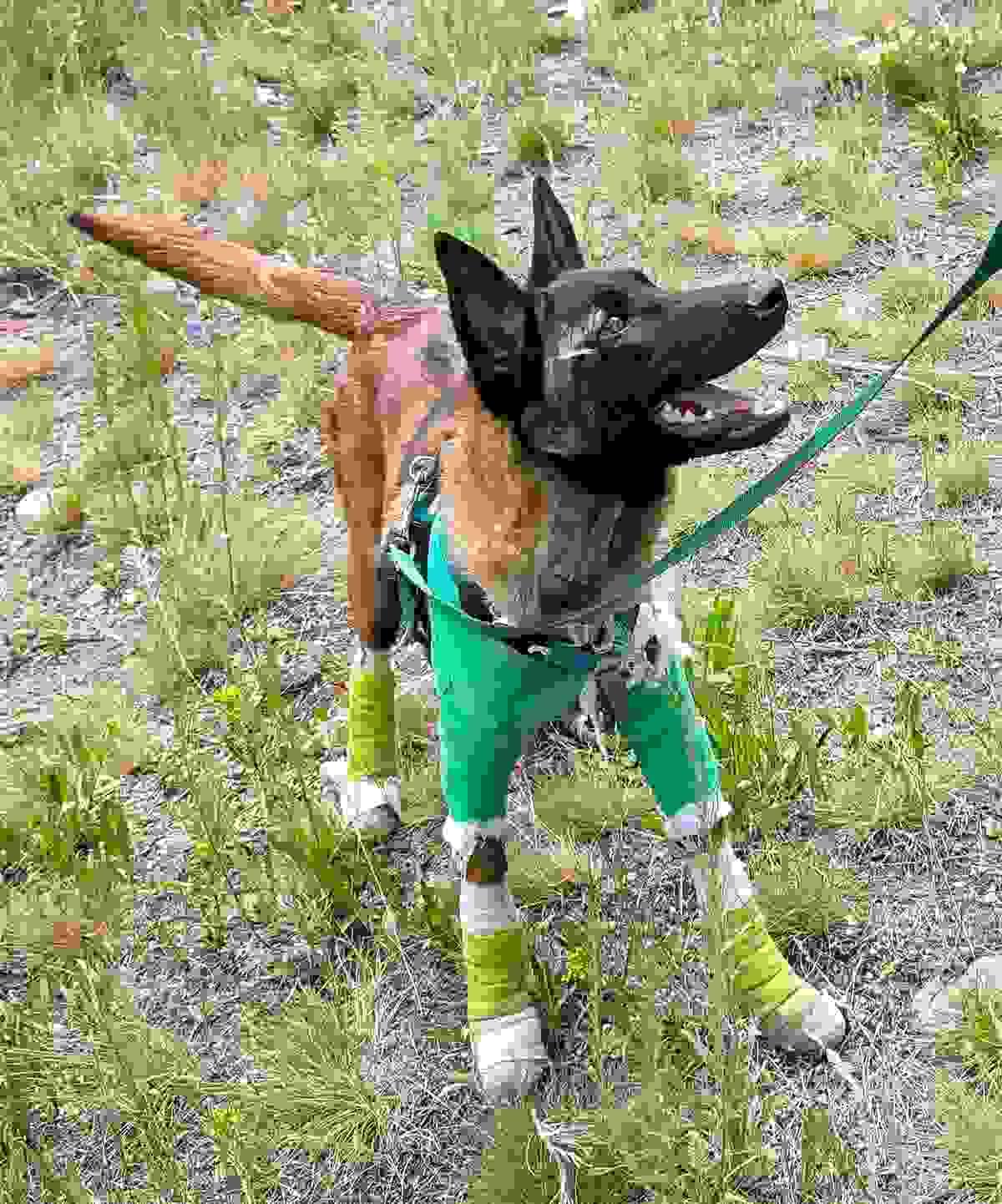 broken image