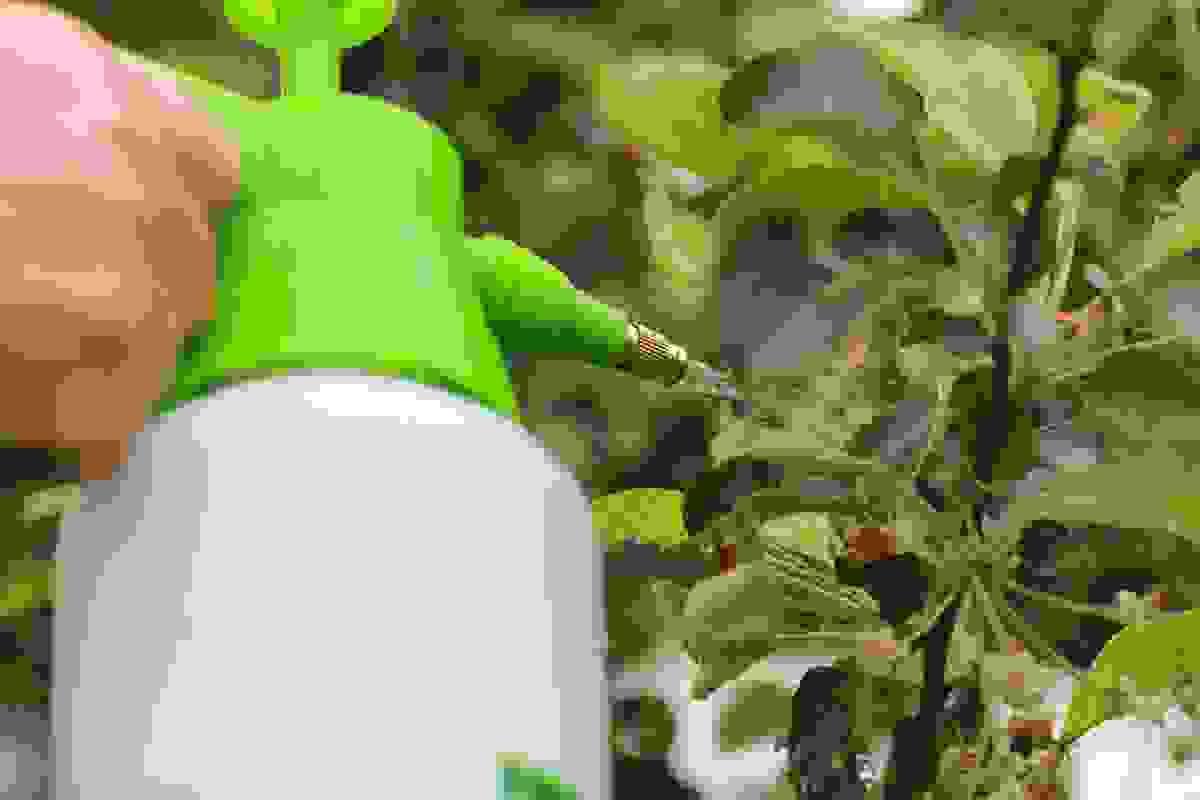 broken image
