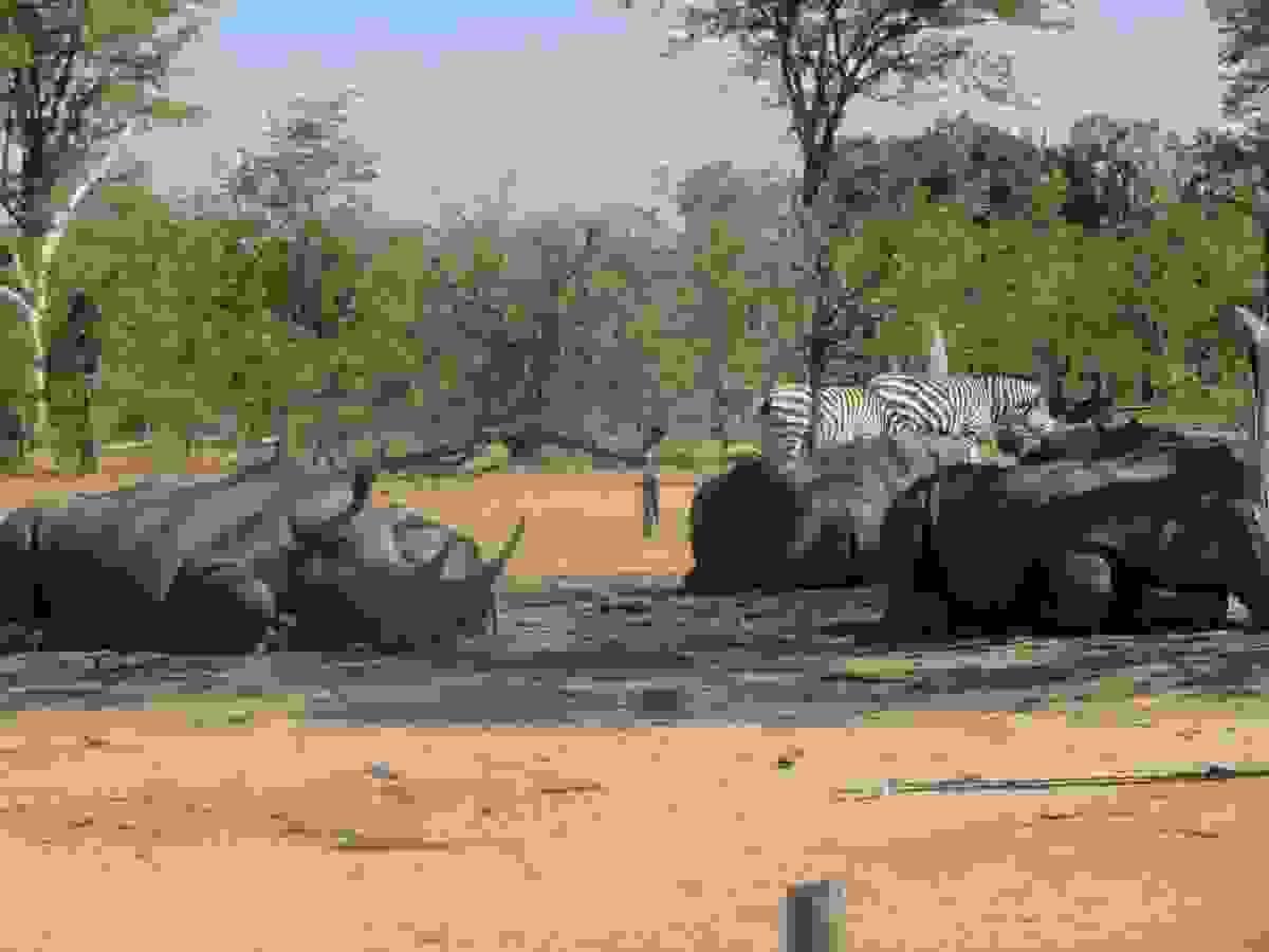 Section image