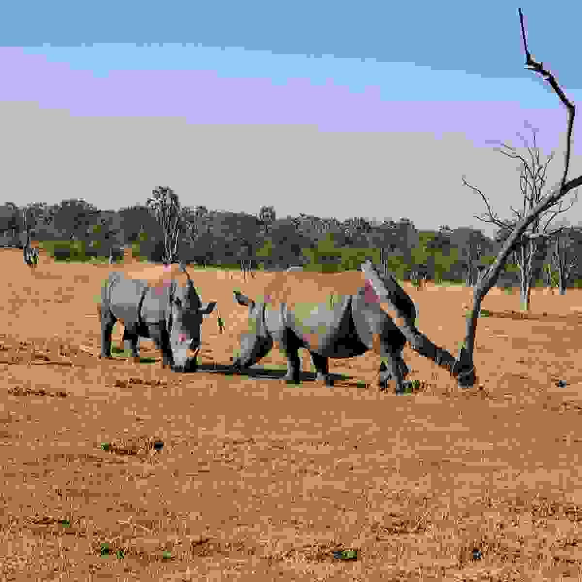 Section image