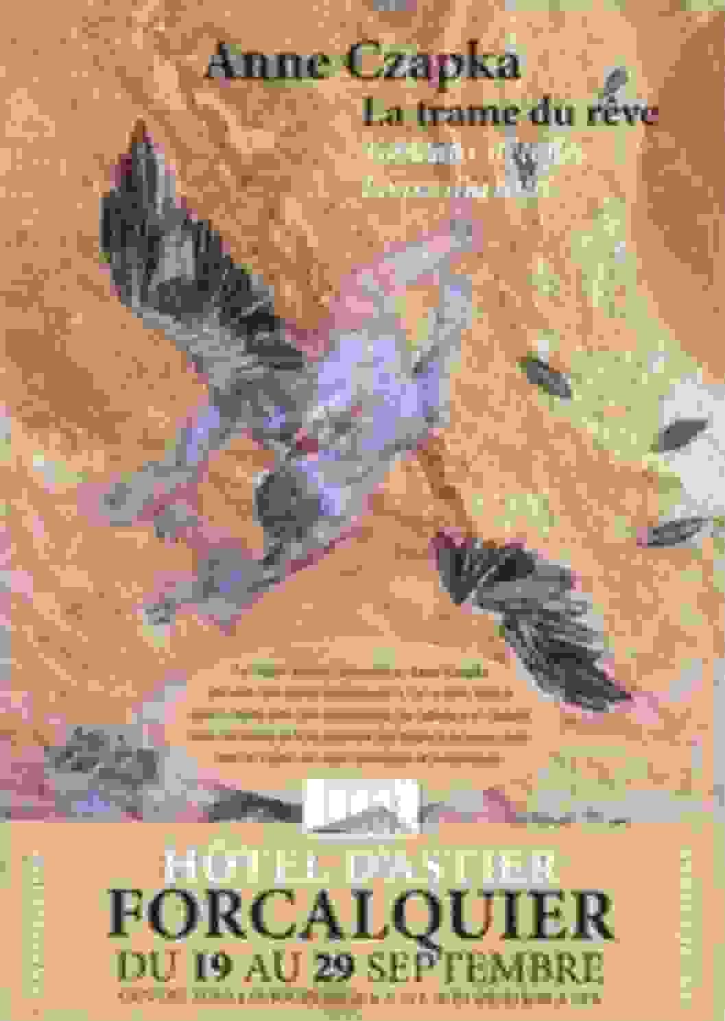 Section image