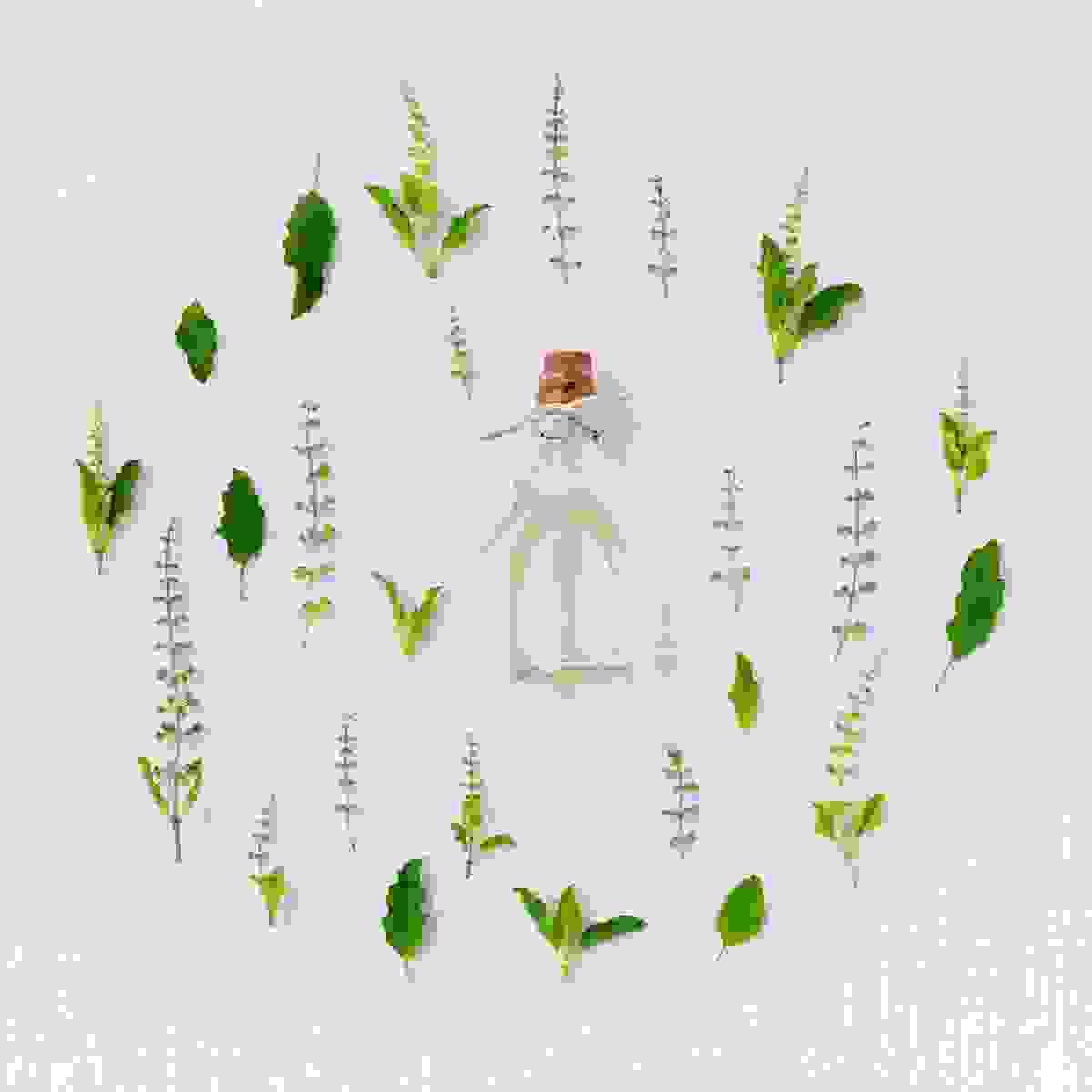 Section image