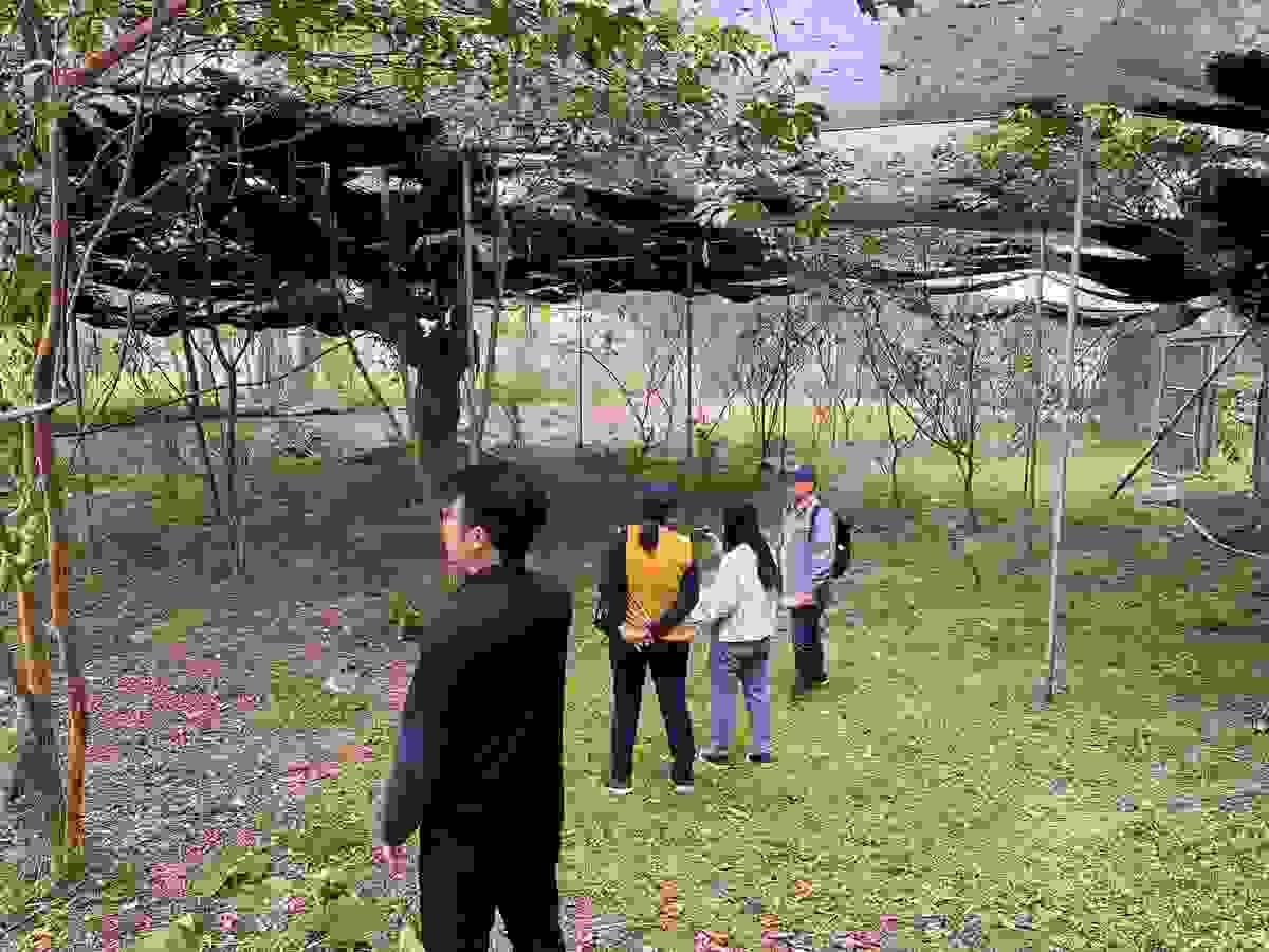 Section image