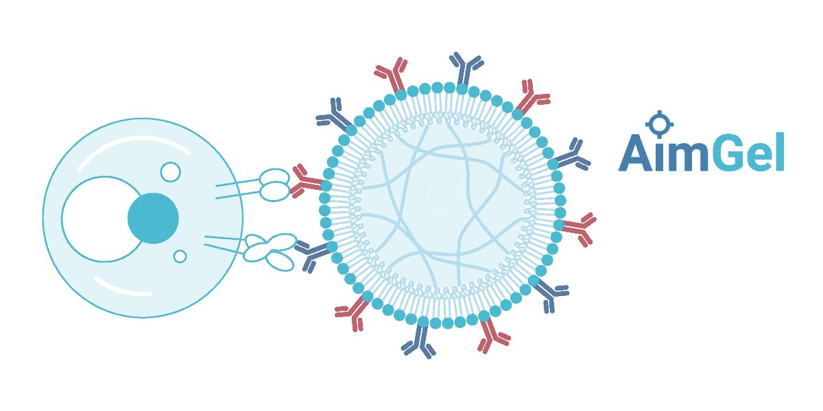 Our AimGel artificial cells, presents signals like natural antigen presenting cells (APCs). Our AimGel artificial cells, presents signals like natural antigen presenting cells (APCs).