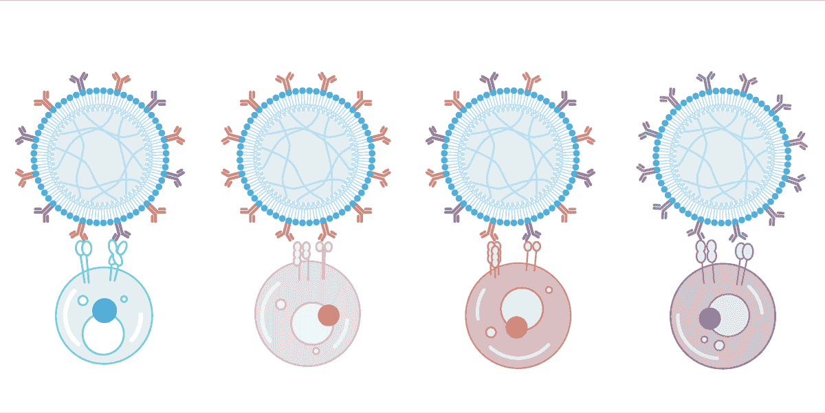 Our AimGel artificial cells, presents signals like natural antigen presenting cells (APCs). Our AimGel artificial cells, presents signals like natural antigen presenting cells (APCs).