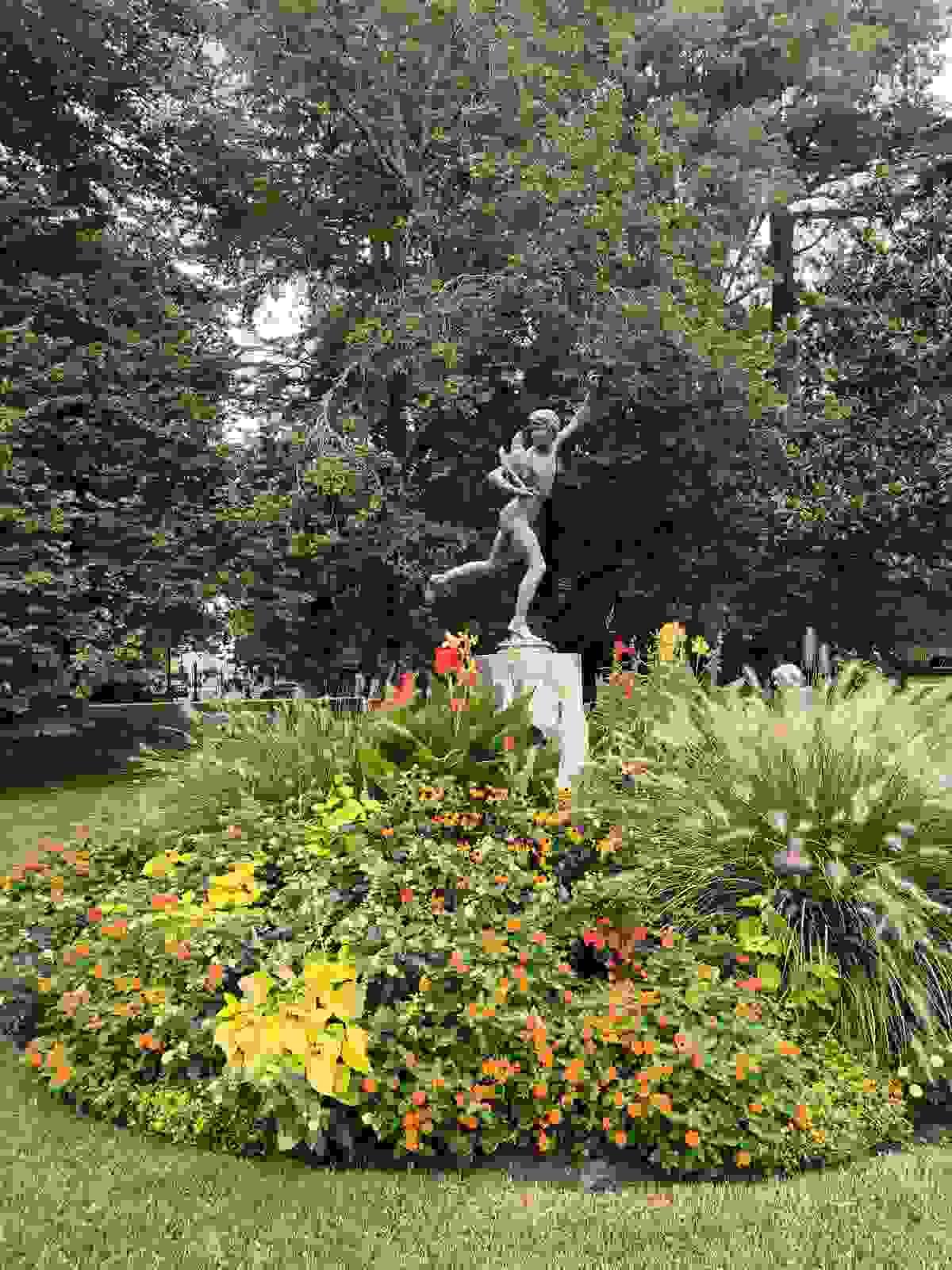 Section image