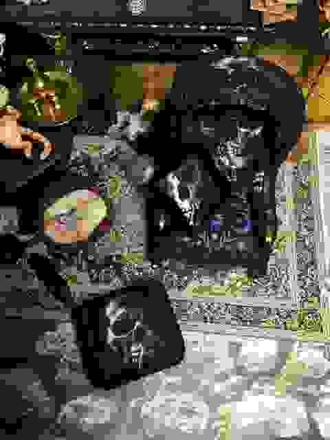 broken image