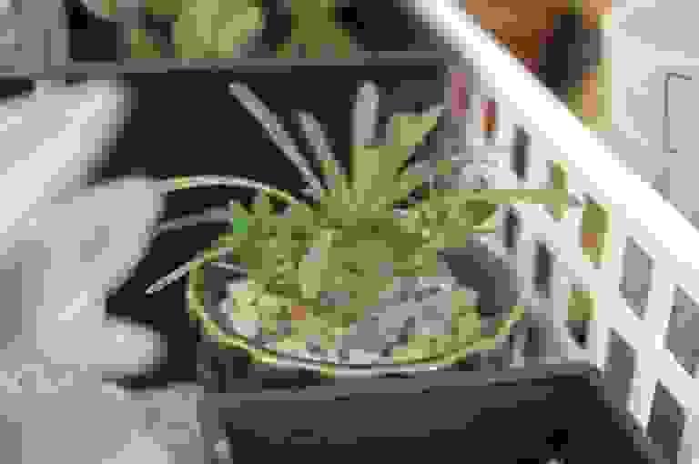 Section image