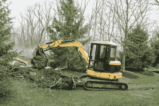 Commercial Tree Services
