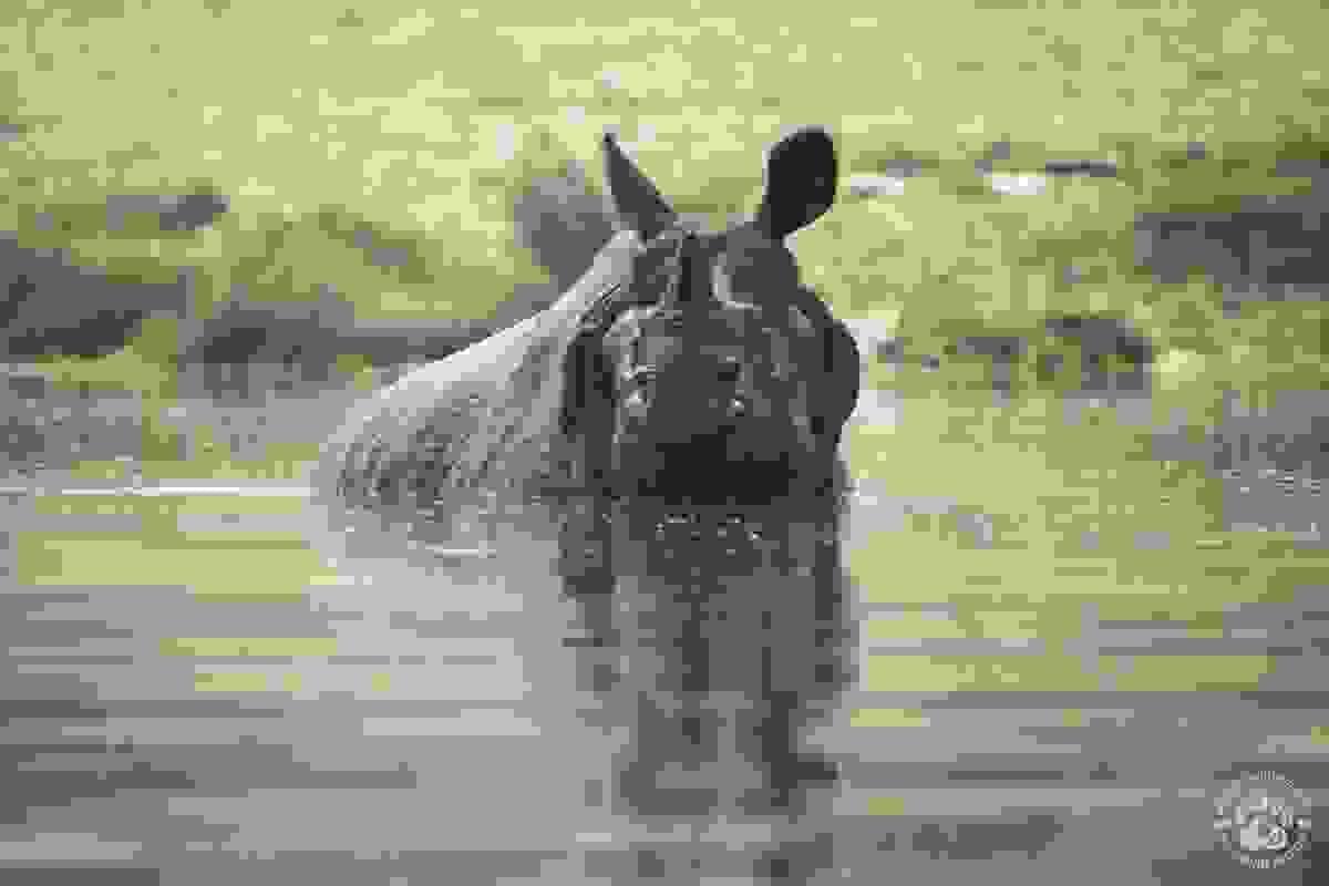 broken image