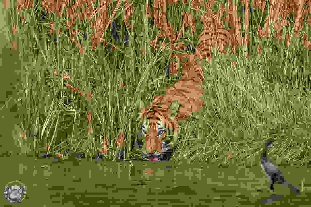 broken image