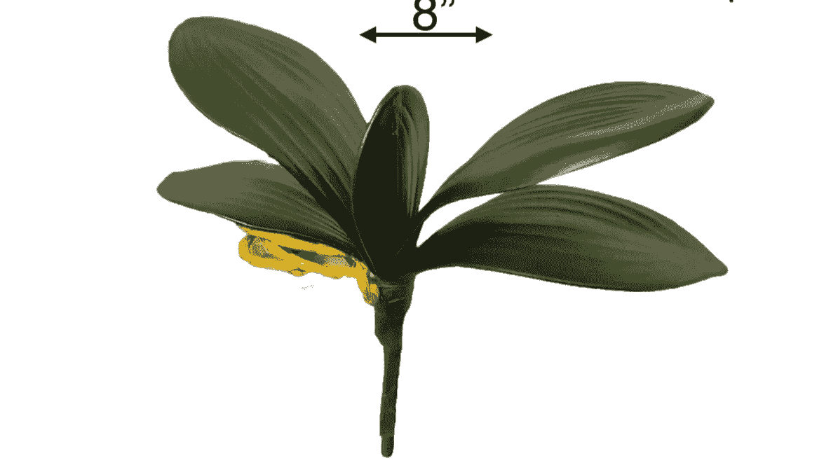 Section image