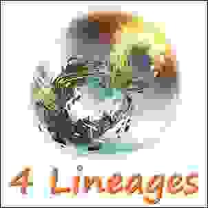 broken image