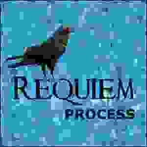 broken image