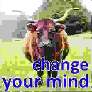 broken image