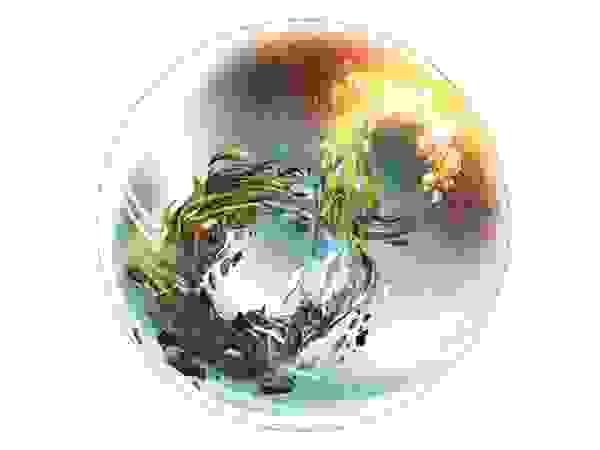 broken image