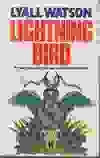 broken image