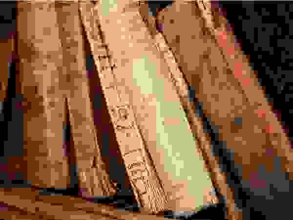 broken image
