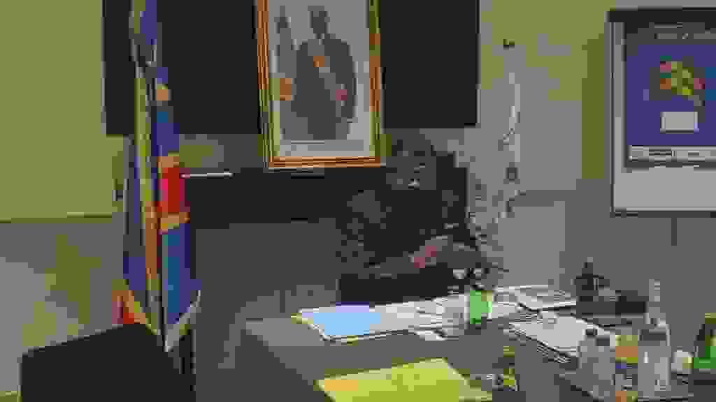 Section image