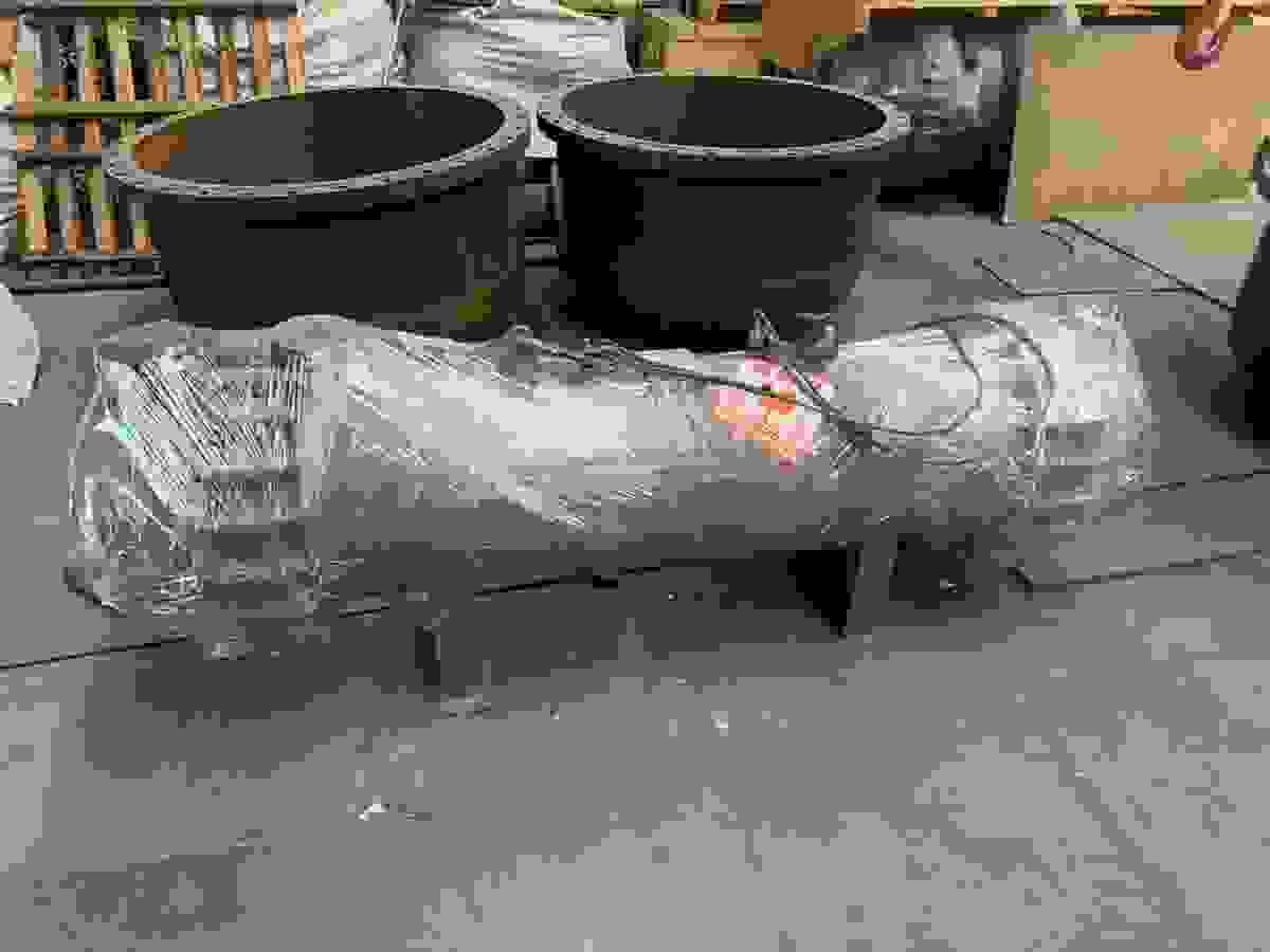 Section image