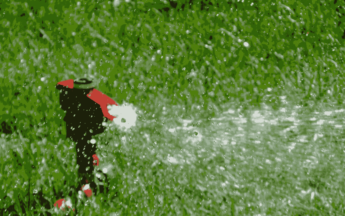 broken image