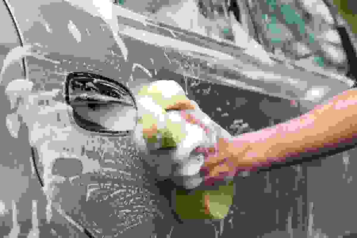 broken image