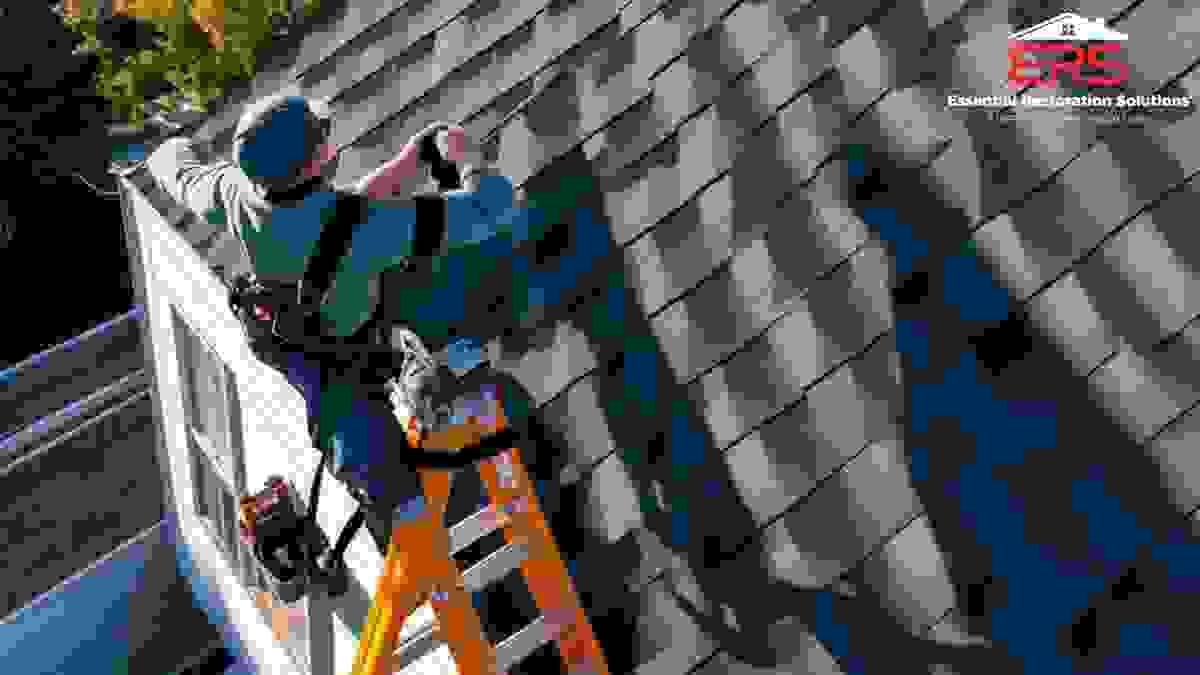 broken image