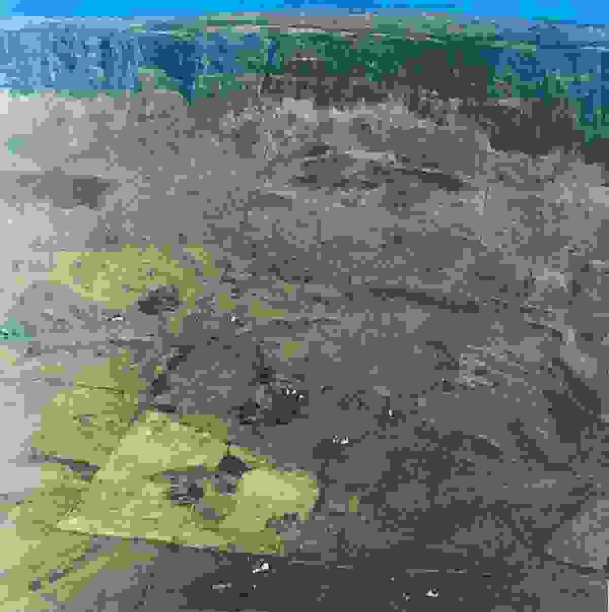 Section image