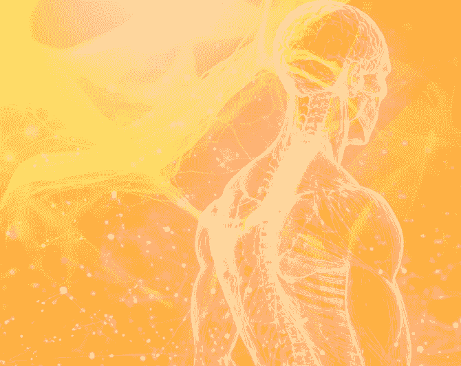 Our focus on gross anatomy allows us to identify and address physical constraints that hinder your health. Anatomical Insights Our Approach My goal is to challenge existing systems by examining the human body from three perspectives: energetic, gross anatomy and our God Self or Soul. I focus on areas that lack harmony and feel constrained and disconnected, whether on a cellular level, in organs, emotions, or structure of light body and gross body and at Soul level. I aim to revitalize and enhance life force energy. Our focus on gross anatomy allows us to identify and address physical constraints that hinder your health. Anatomical Insights Our Approach My goal is to challenge existing systems by examining the human body from three perspectives: energetic, gross anatomy and our God Self or Soul. I focus on areas that lack harmony and feel constrained and disconnected, whether on a cellular level, in organs, emotions, or structure of light body and gross body and at Soul level. I aim to revitalize and enhance life force energy.
