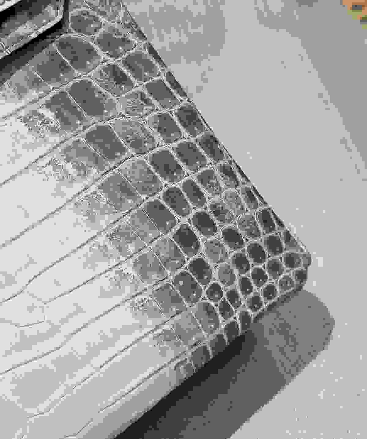 Our collection features a curated selection of premium designer handbags that embody elegance and sophistication. Each piece is crafted with the finest materials, showcasing timeless designs that elevate your style and make a bold statement. Luxury Handbags What We Offer 售賣奢侈高端名牌包以及名牌高級機械手錶 Our collection features a curated selection of premium designer handbags that embody elegance and sophistication. Each piece is crafted with the finest materials, showcasing timeless designs that elevate your style and make a bold statement. Luxury Handbags What We Offer 售賣奢侈高端名牌包以及名牌高級機械手錶