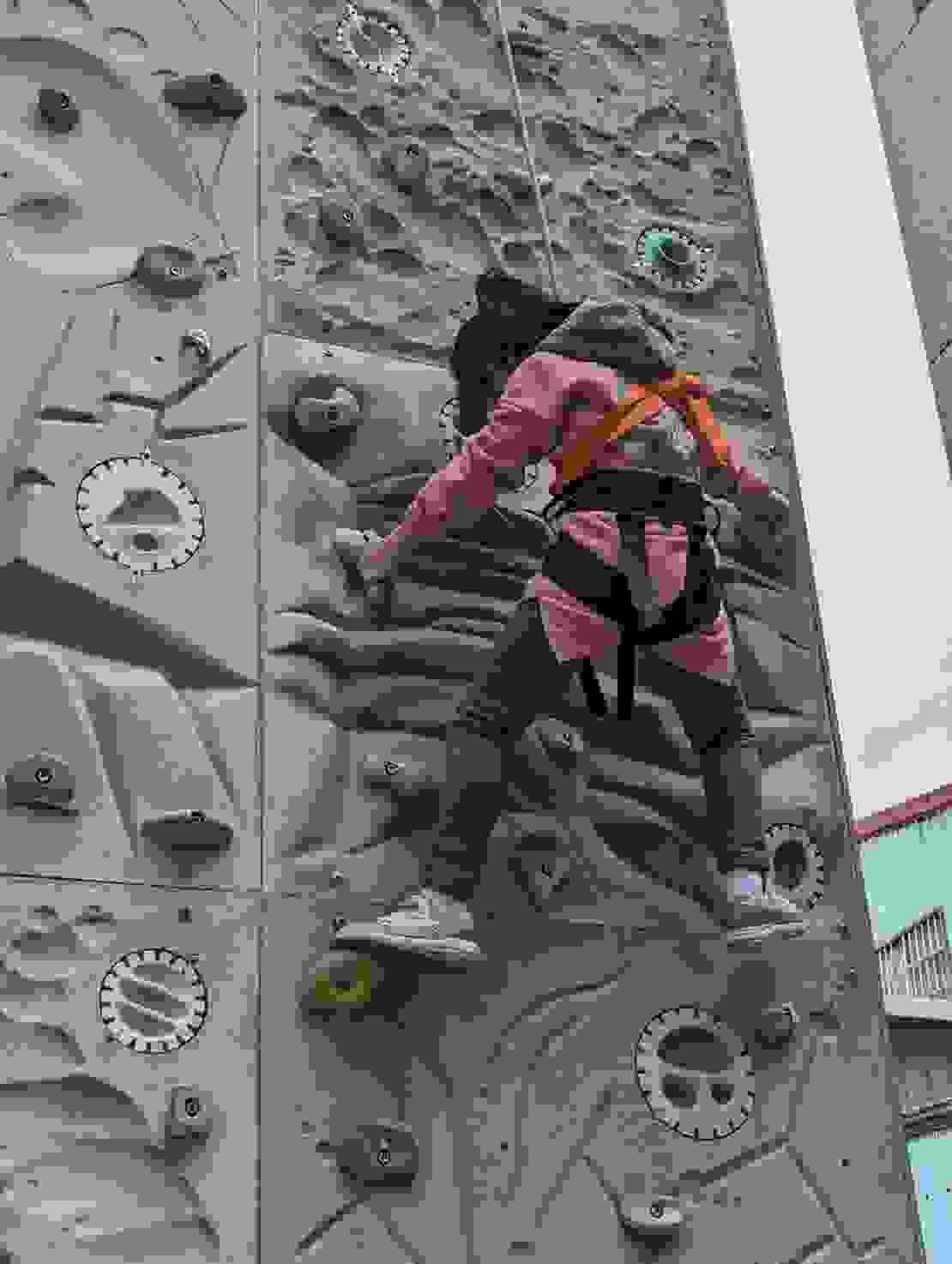 Section image