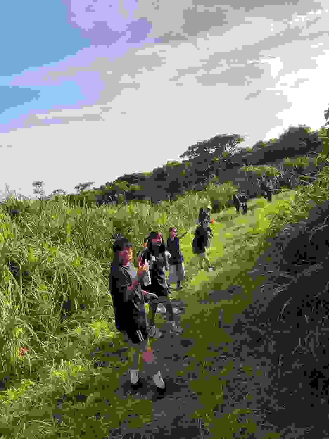 Section image