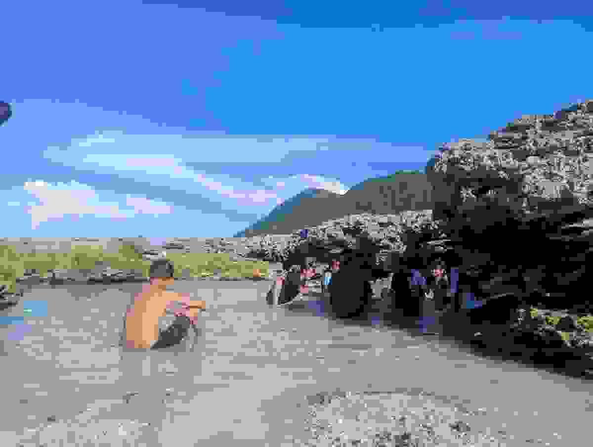 Section image